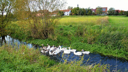 Vorschaubild 