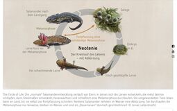 Vorschaubild Quelle citizen conservation