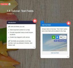 Preview image Map with active copy mode (boxes)