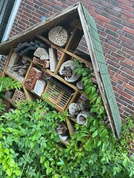 Vorschaubild # Bienen