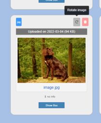 Preview image Rotate button at the top right