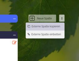 Vorschaubild Option „Externe Spalte kopieren“