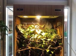 Vorschaubild Ein herzlicher Dank geht an die Rotary Clubs Oldenburg-Ammerland und Oldenburg-Schloss, die dieses Terrarium finanziert haben.