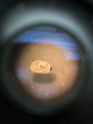 Vorschaubild 06.05.25