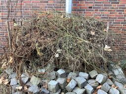 Vorschaubild Totholzhecke in der GEOase