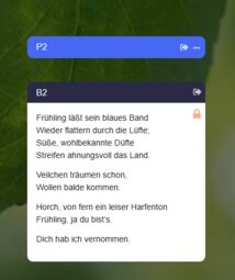 Vorschaubild Eingebettete Spalten sind geschützt<br>im Bearbeitungsmodus