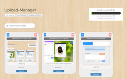 Vorschaubild Screenshot: Beispiel Upload-Manager