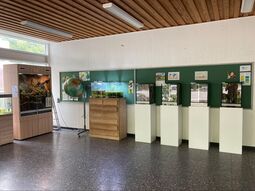 Vorschaubild Terrarien in der Pausenhalle