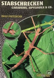Vorschaubild 