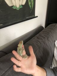 Vorschaubild 