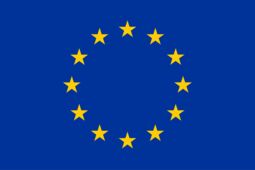 Vorschaubild European Union flag