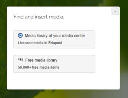 Preview image Dialog “Find and insert media”