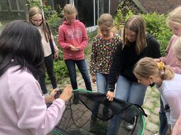 Vorschaubild 