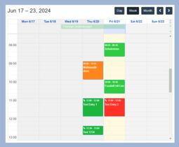 Preview image Example of a user calendar