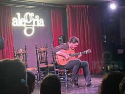 Vorschaubild Flamenco-Abend