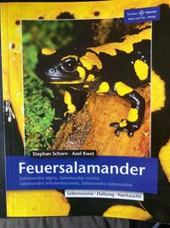 Vorschaubild 