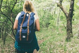 Vorschaubild 