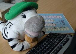 Vorschaubild Franz am Computer