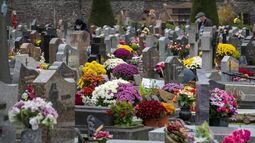 Vorschaubild Toussaint