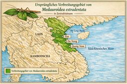 Vorschaubild Ursprüngliche Verbreitung (Copilot)