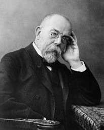 Robert Koch (1843 - 1910)