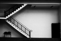 {https://www.pexels.com/photo/black-and-white-photo-of-staircase-3768247/}